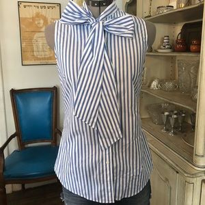 Blue Striped Pussybow Blouse